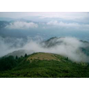 Arata Muntii Bihor -Zona Padis imagine